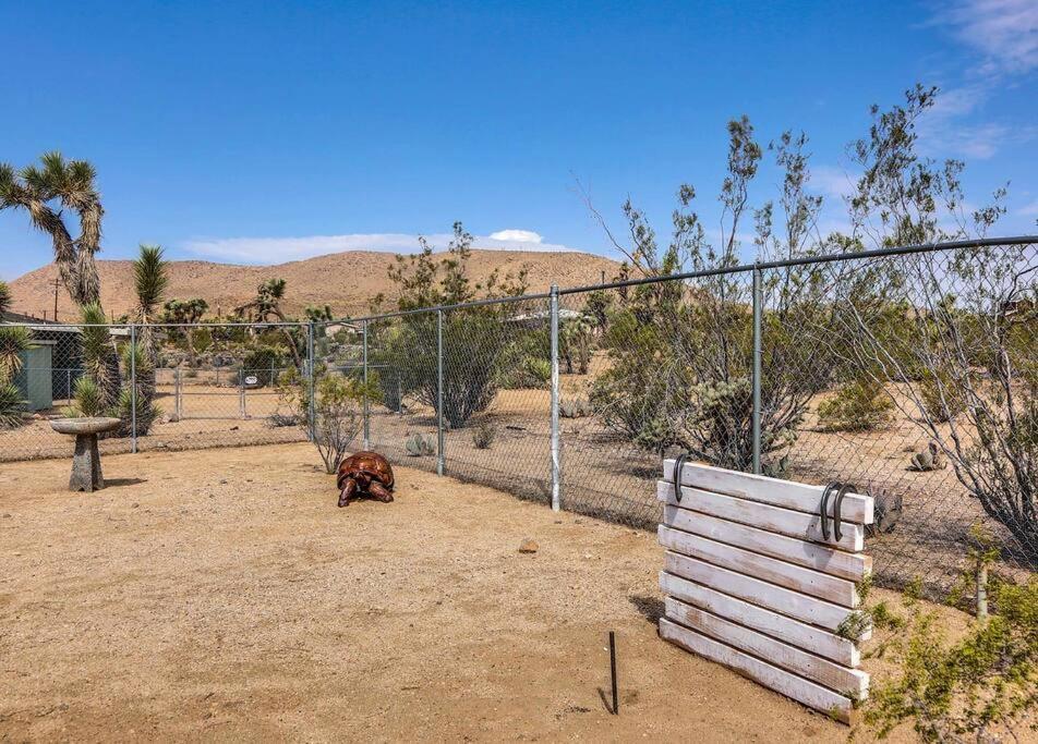 Jt Cottage Yucca Valley Zewnętrze zdjęcie