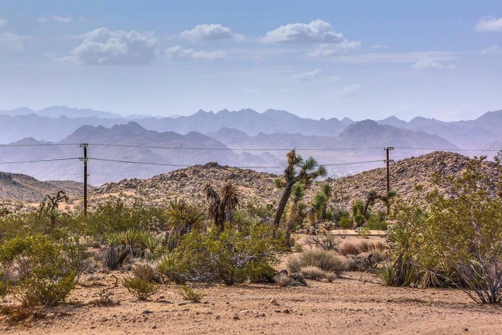 Jt Cottage Yucca Valley Zewnętrze zdjęcie